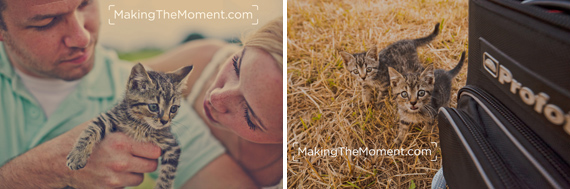 Cleveland Engagement Session Photographer