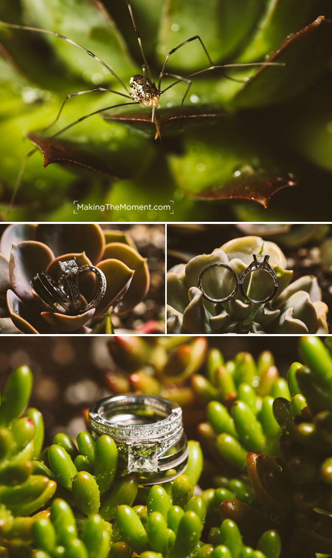 Modern Cleveland Wedding Photographer Ring Shots