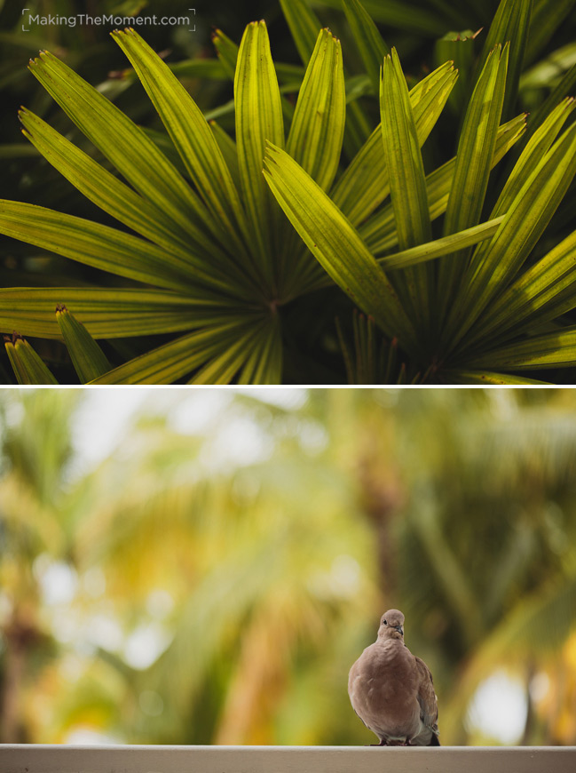 Lago Mar Resort Wedding Photographer