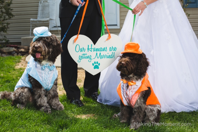 Renaissance Hotel Wedding Photographer