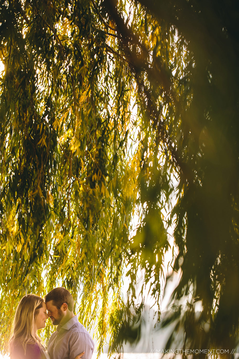 Cleveland Wedding Engagement Session