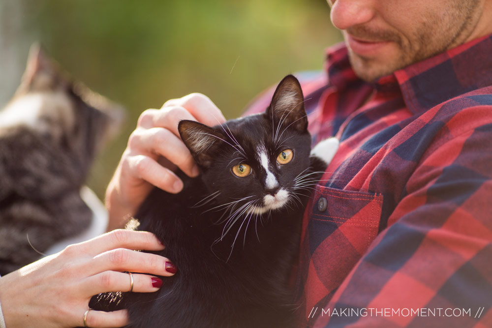 cats engagement session photographer cleveland