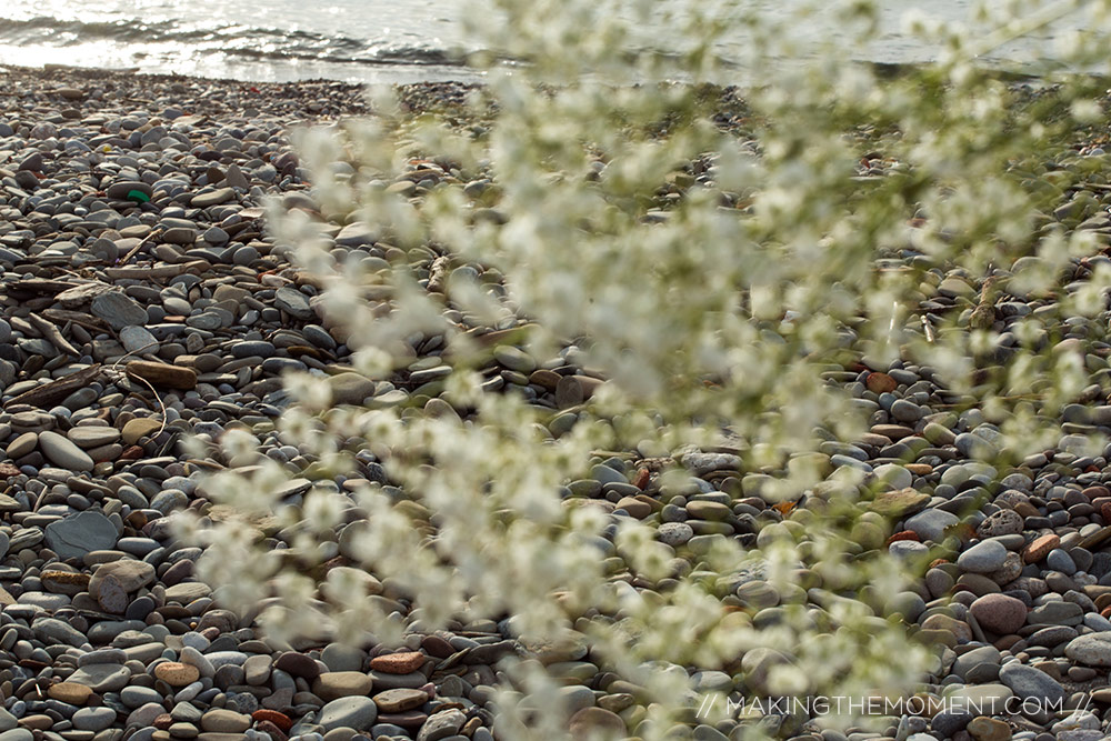 Beach wedding cleveland