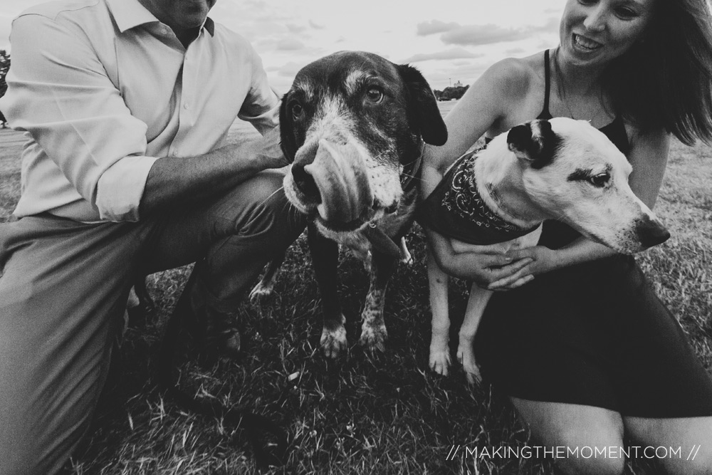 dogs engagement session cleveland