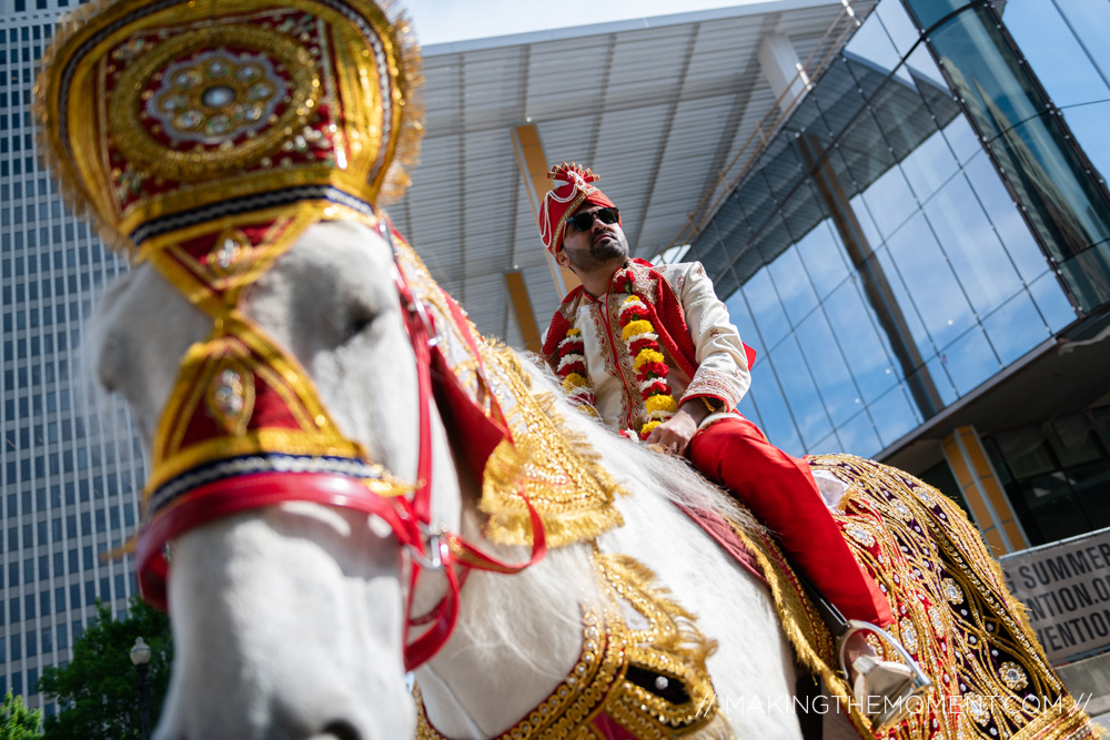 Indian Wedding Barat Horse