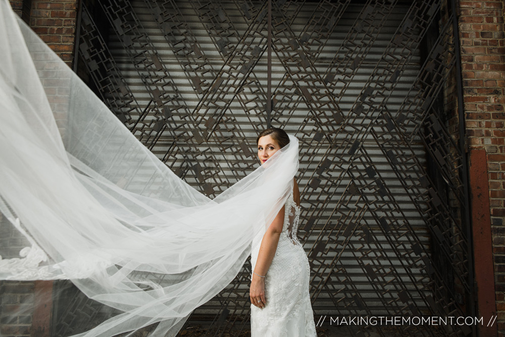 Cleveland Wedding Photographer Big Veil