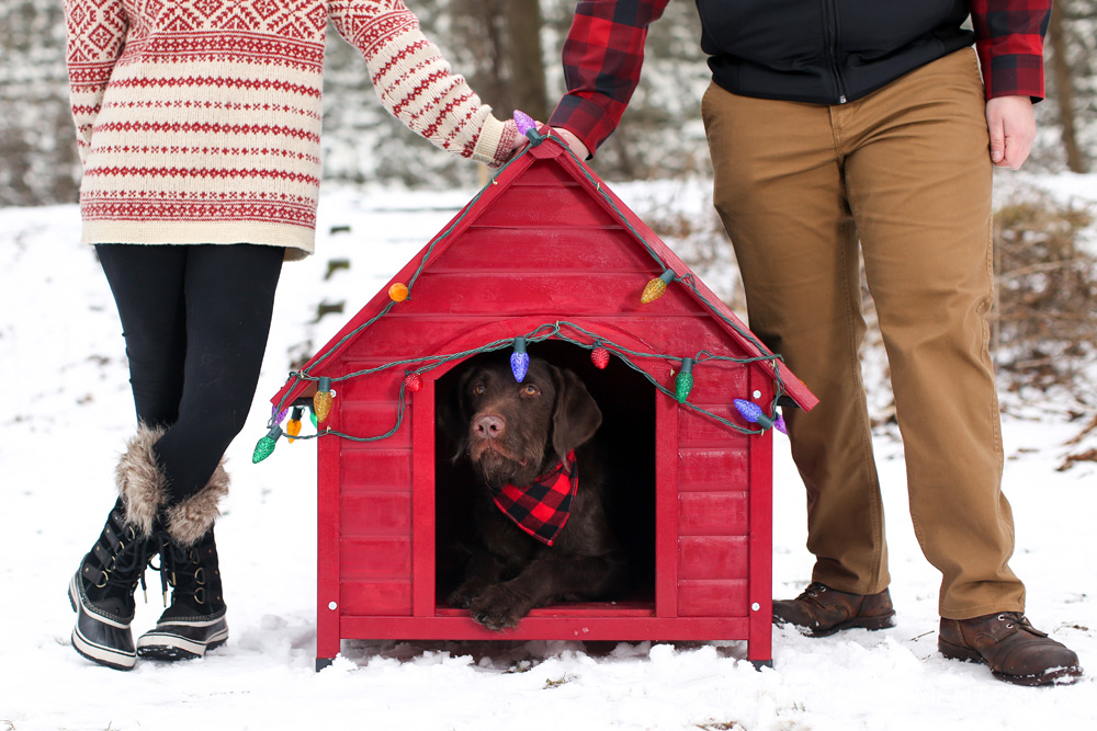 Cleveland Family Winter Photography