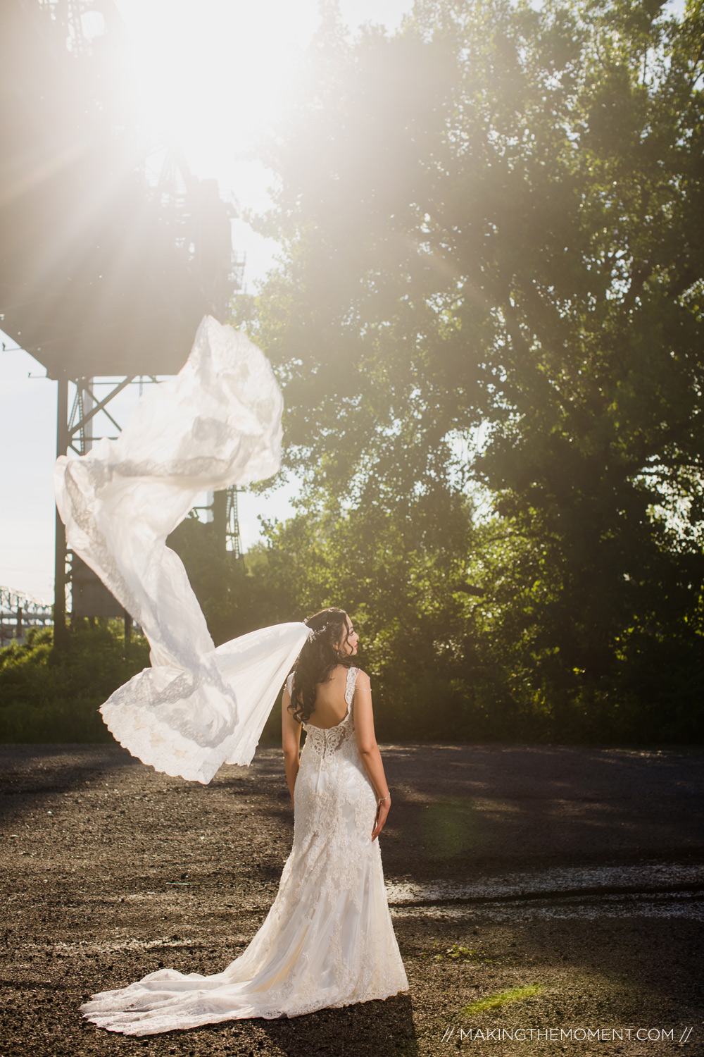 Cleveland Wedding Photographer Big Veil