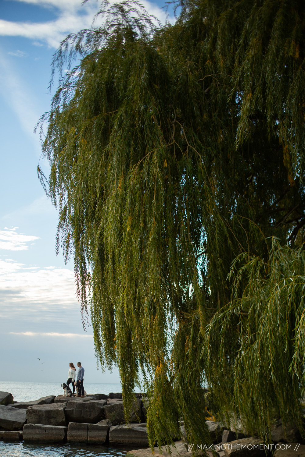 Edgewater Dog Engagement Session Cleveland Photographer