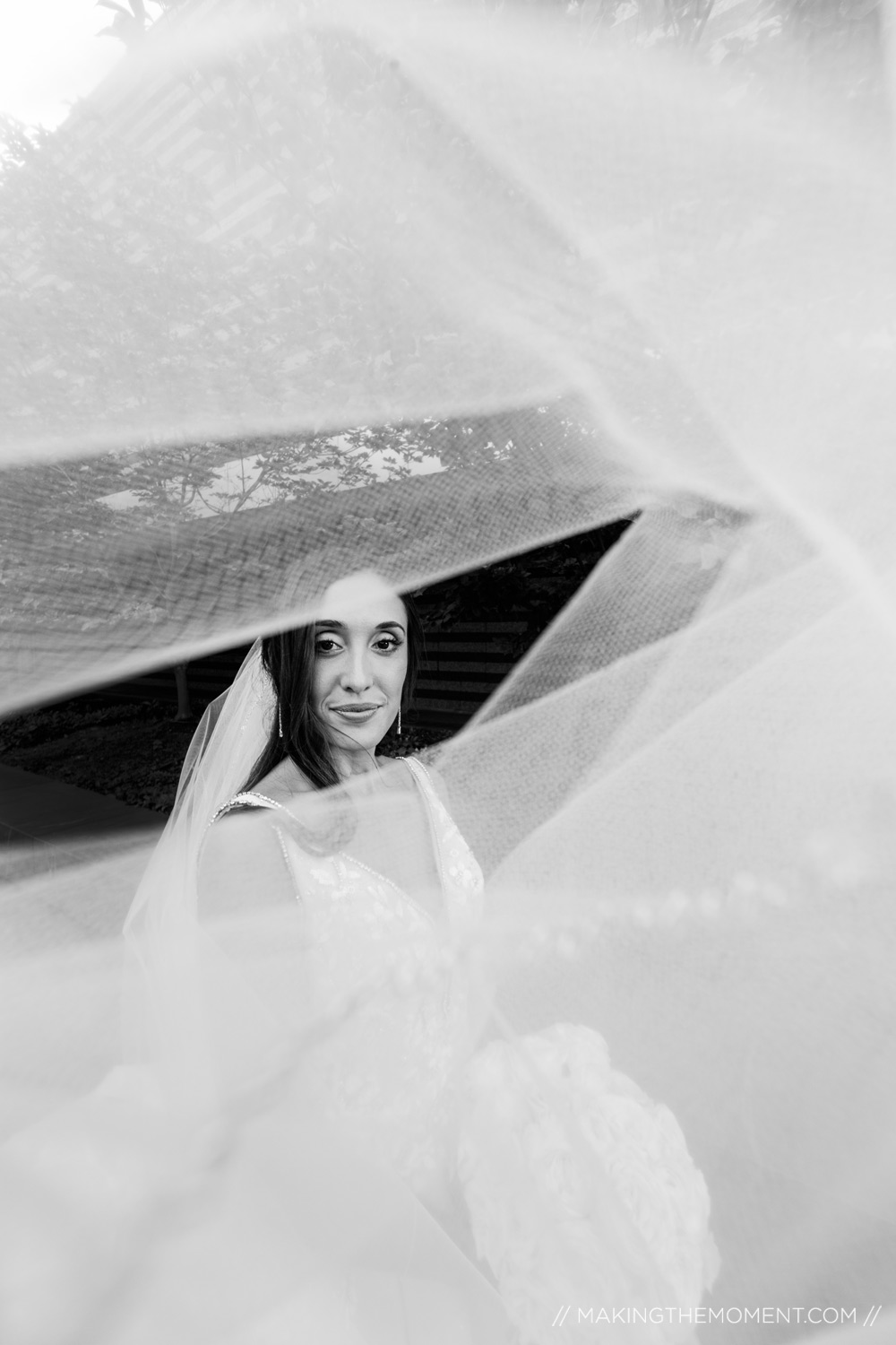 Bridal Veil Cleveland Wedding Photographer