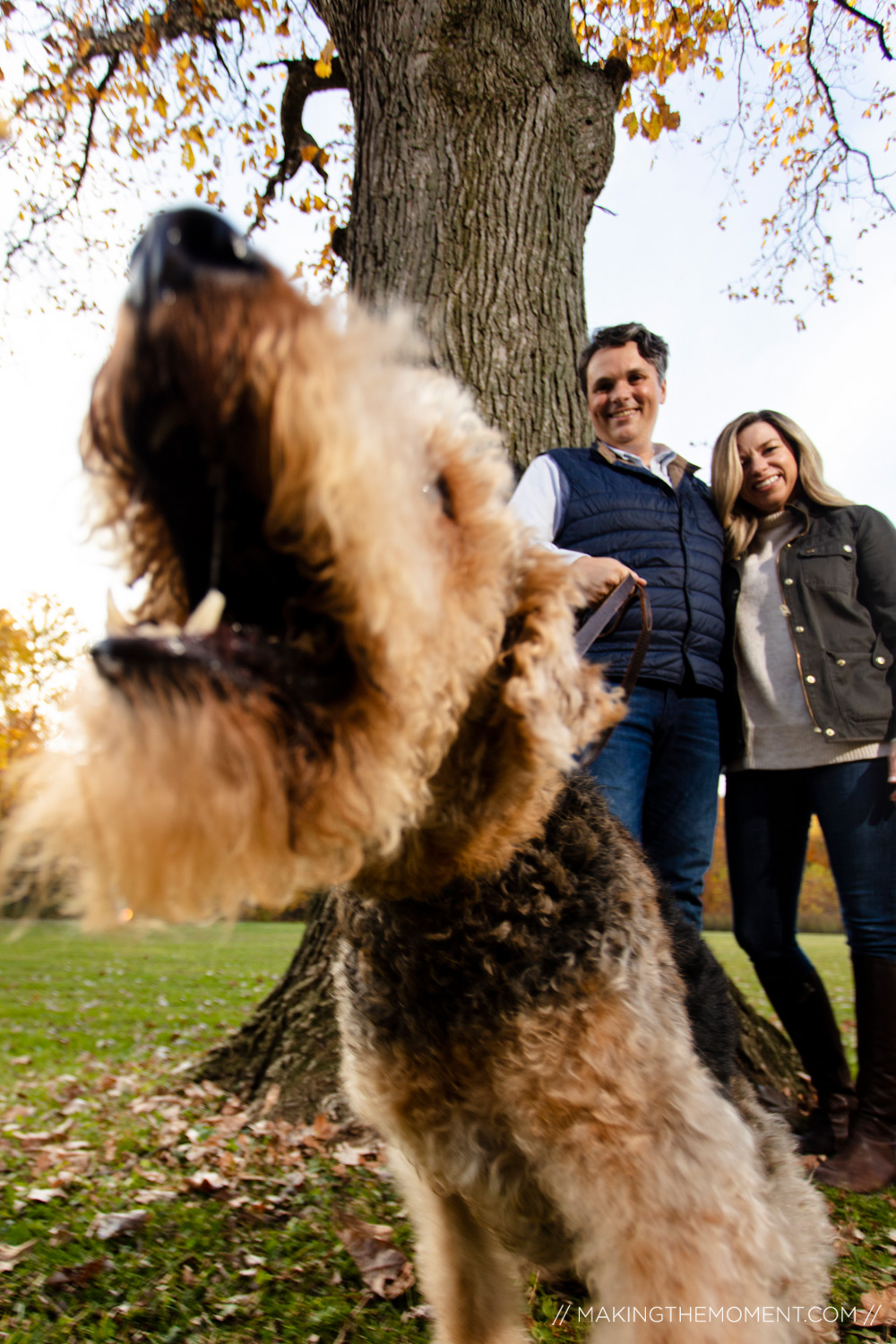 Engagement Photography with a Dog