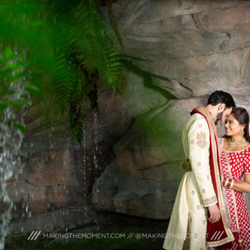 Cleveland Botanical Gardens Indian Wedding