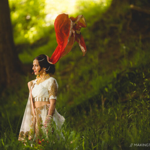 Unique Indian Wedding Photographer Cleveland